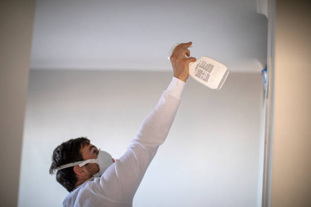 Sebastian, TX Mold Removal Company